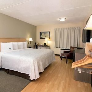Chambre Supérieure Lit King-Size